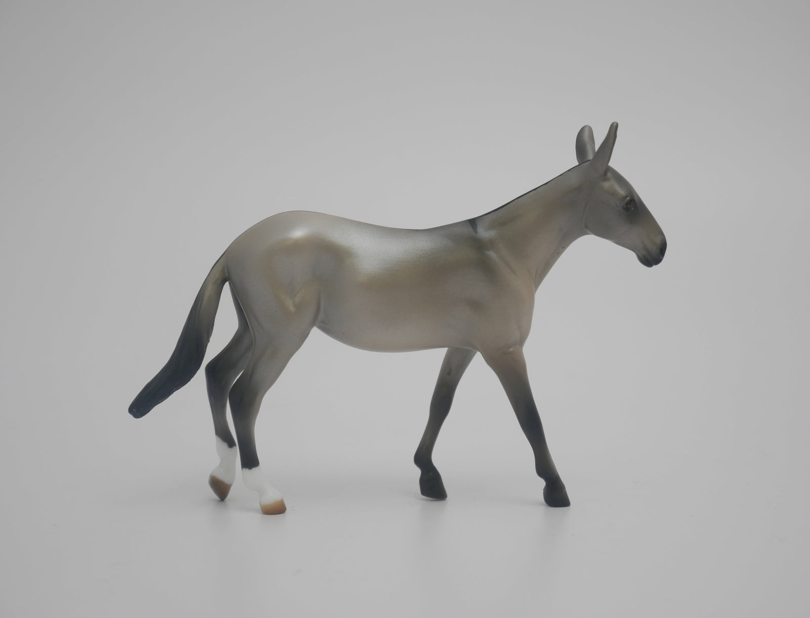 MABELLE-LE-15 THE WONDER MULE CHIP 3/24/20