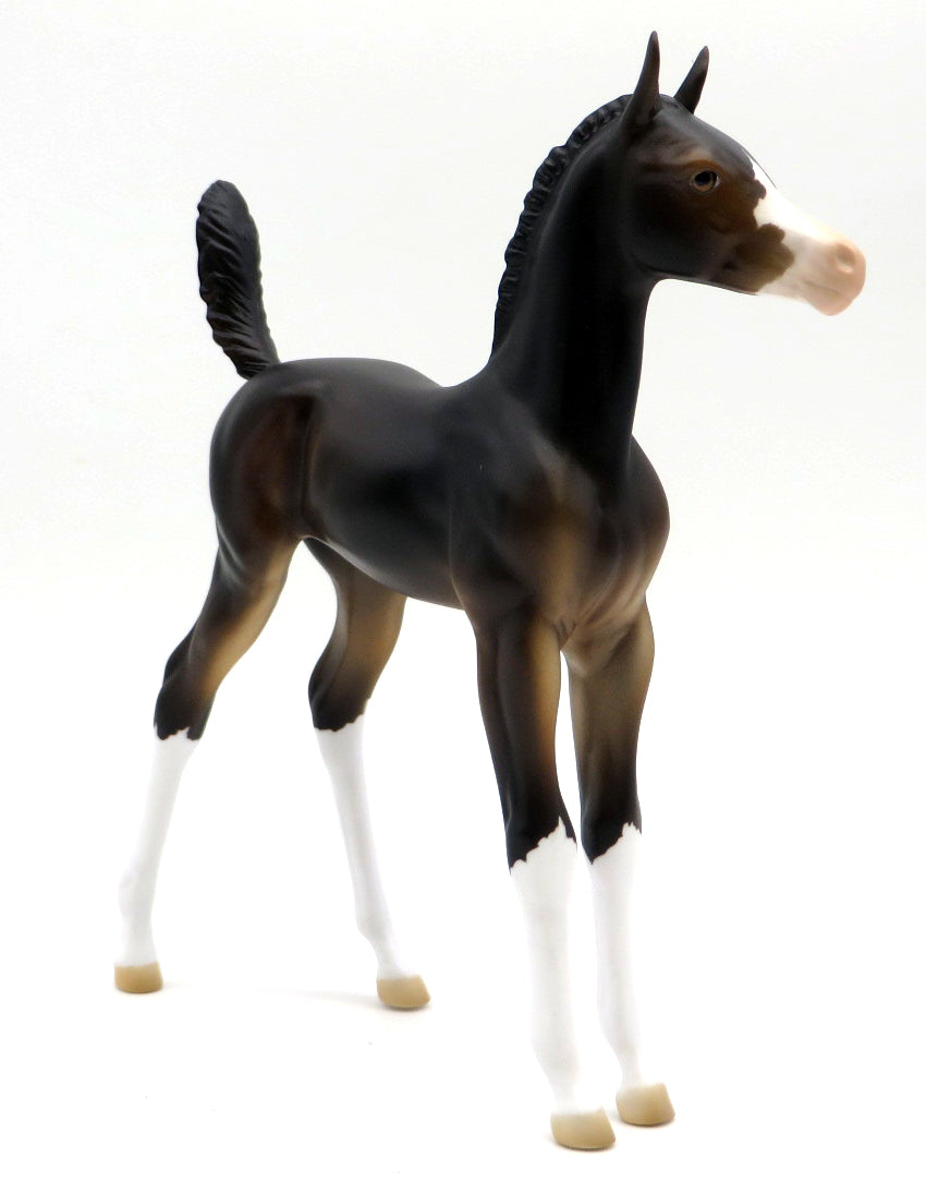 Macaroon- OOAK Bay Foal  Holiday Sale 2021