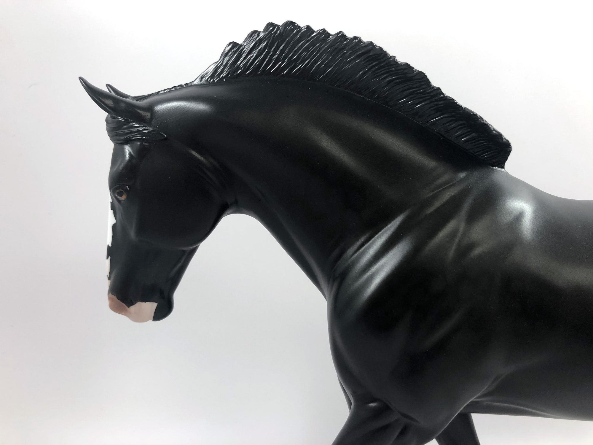 MADRAS- LE-15 CM DAPPLED BLACK IRISH DRAFT BY AMANDA  HOSTETLER SHCF 19