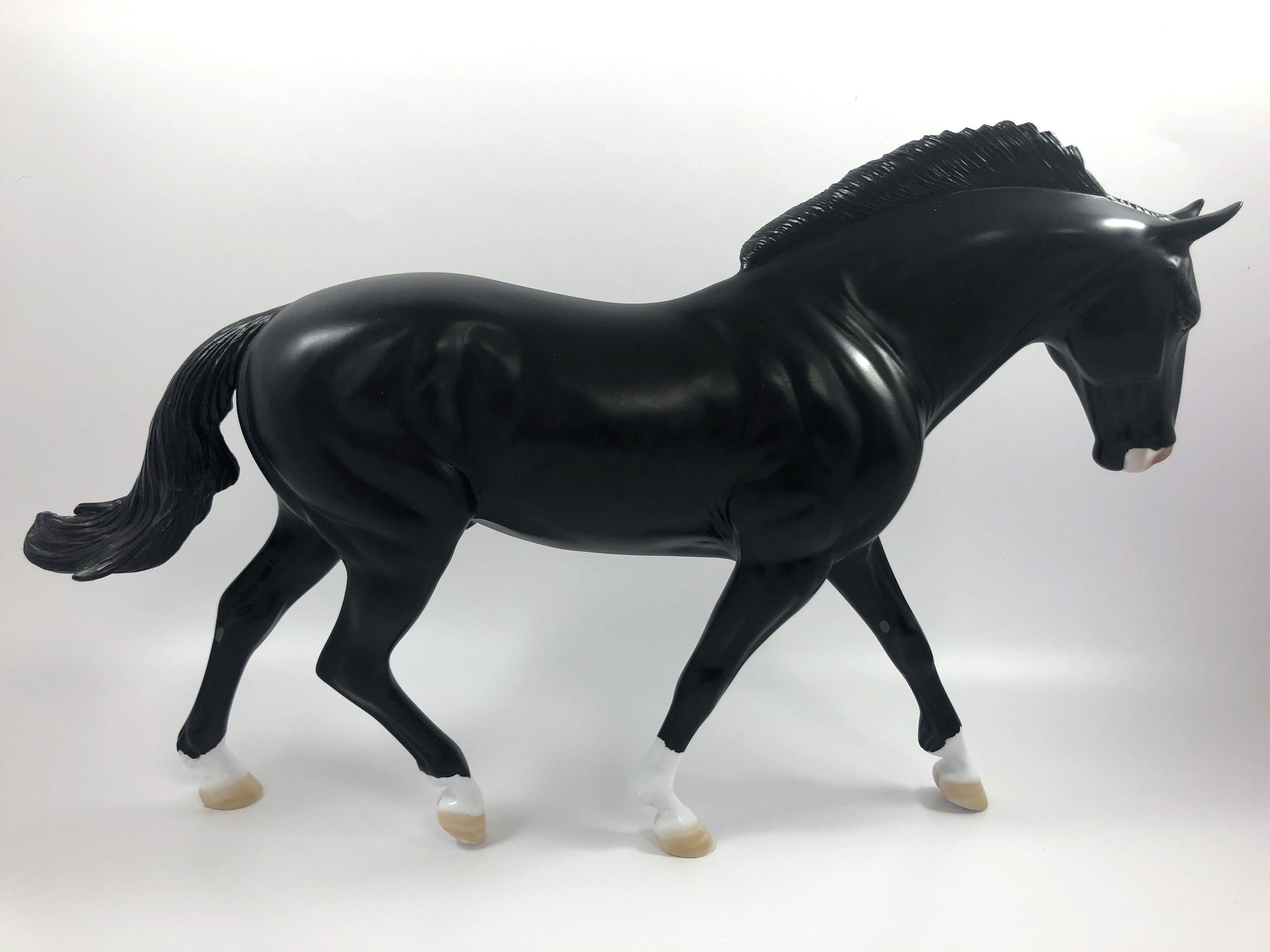 MADRAS- LE-15 CM DAPPLED BLACK IRISH DRAFT BY AMANDA  HOSTETLER SHCF 19