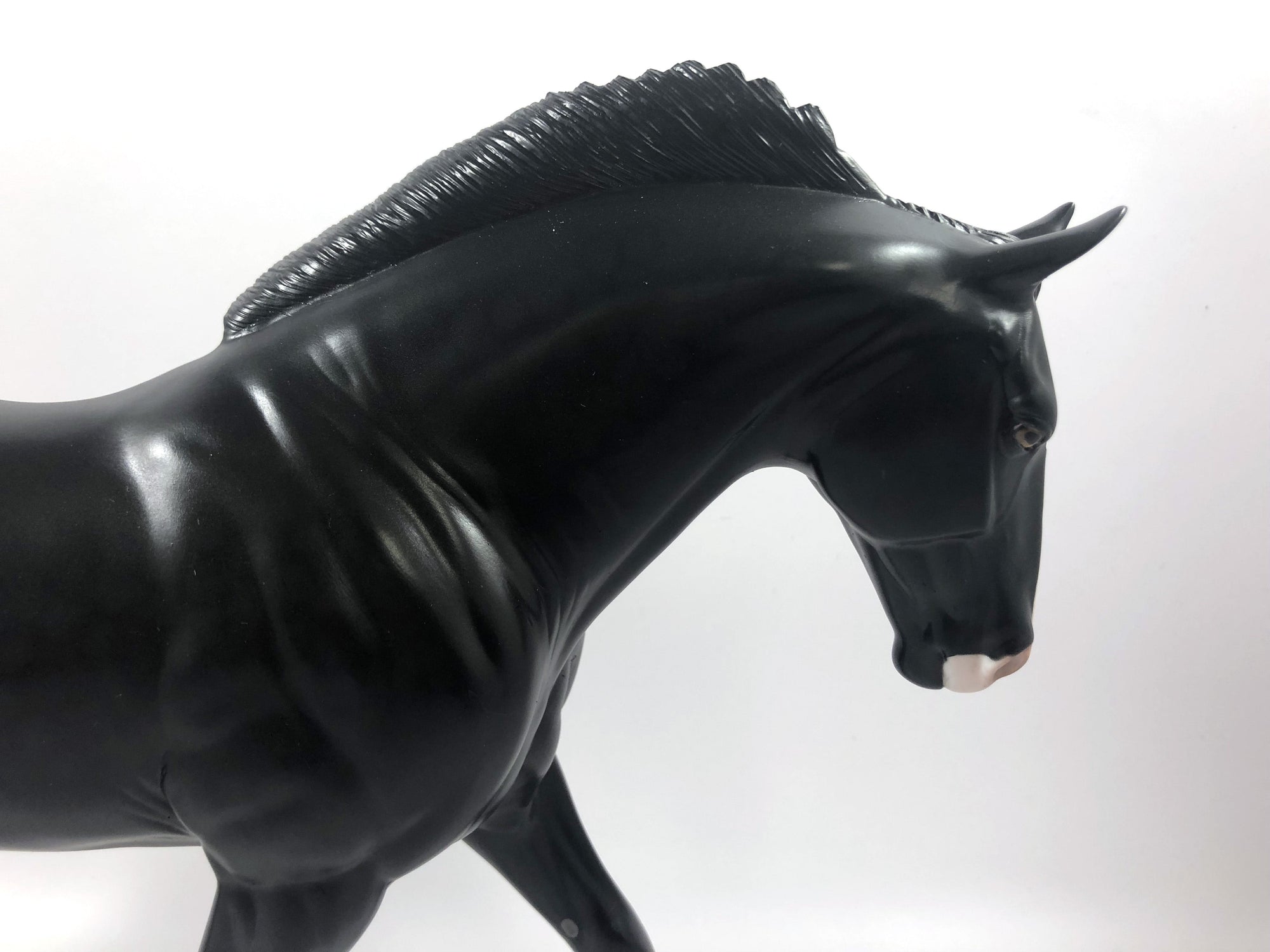 MADRAS- LE-15 CM DAPPLED BLACK IRISH DRAFT BY AMANDA  HOSTETLER SHCF 19