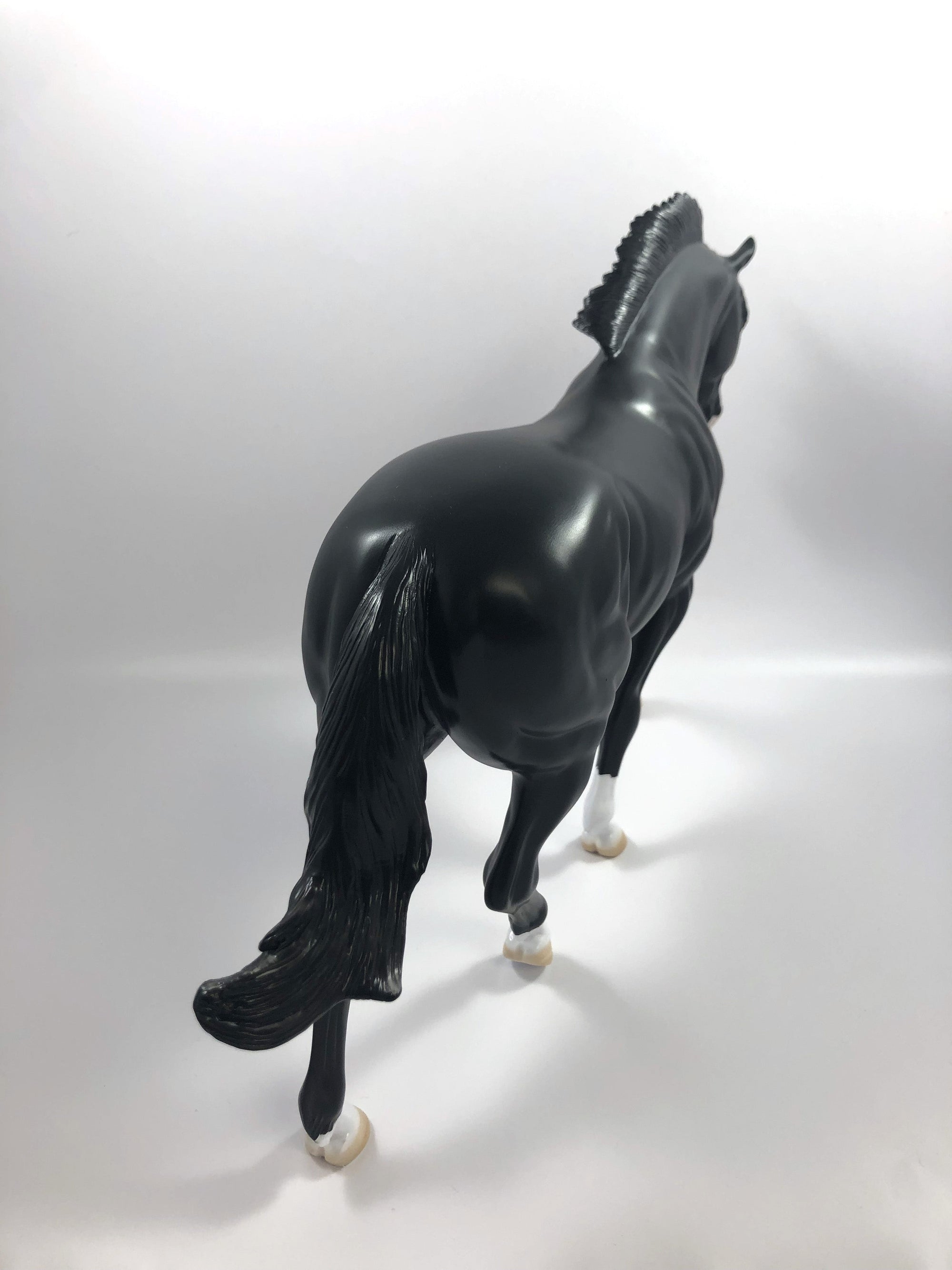 MADRAS- LE-15 CM DAPPLED BLACK IRISH DRAFT BY AMANDA  HOSTETLER SHCF 19