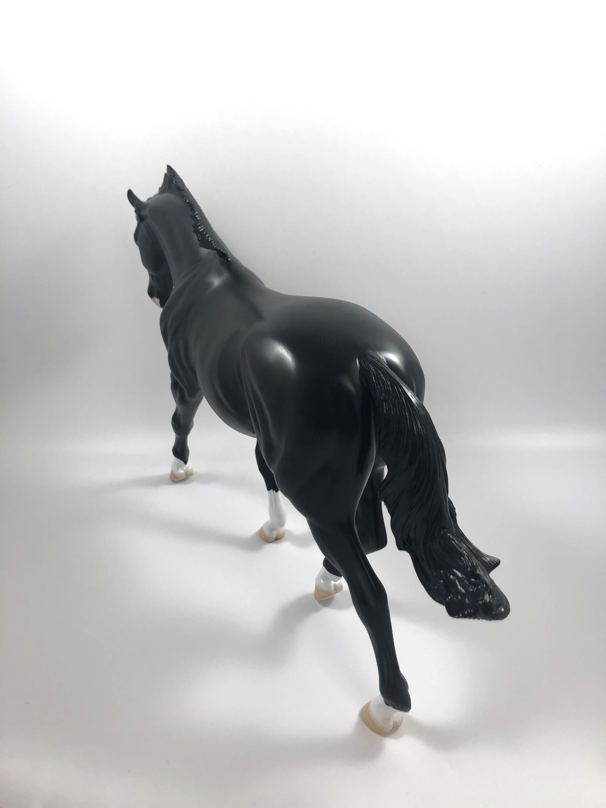 MADRAS- LE-15 CM DAPPLED BLACK IRISH DRAFT BY AMANDA  HOSTETLER SHCF 19