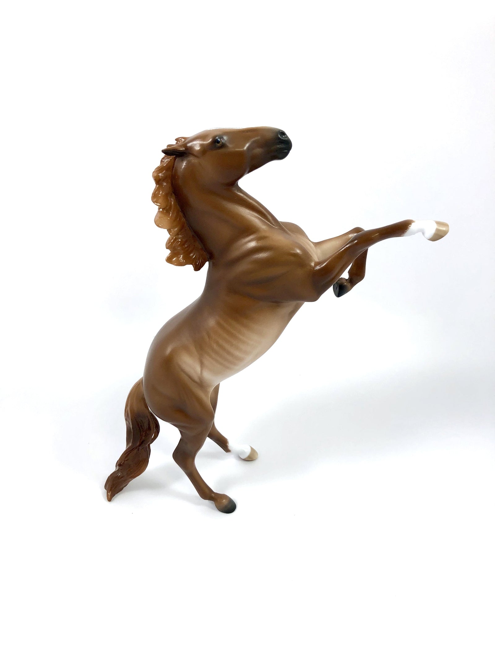 MANGO SORBET -- CHESTNUT RABICANO REARING PEBBLES BY SHERYL LEISURE 4/25/19