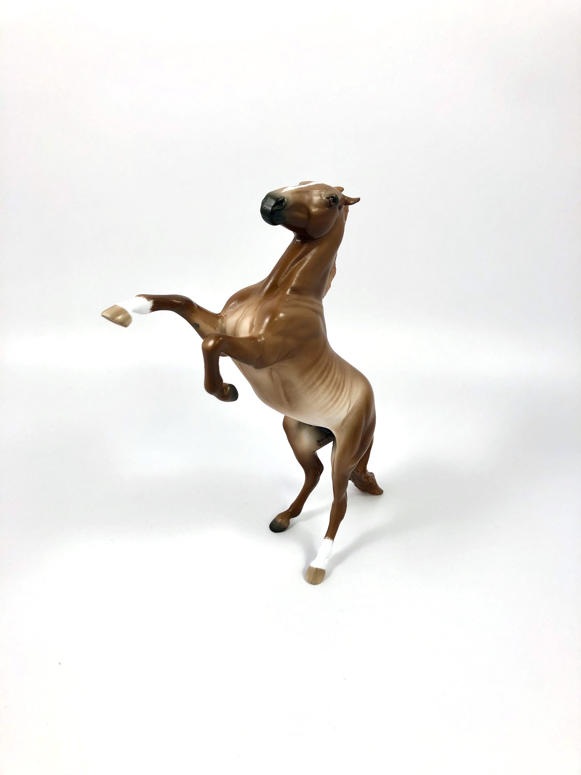 MANGO SORBET -- CHESTNUT RABICANO REARING PEBBLES BY SHERYL LEISURE 4/25/19