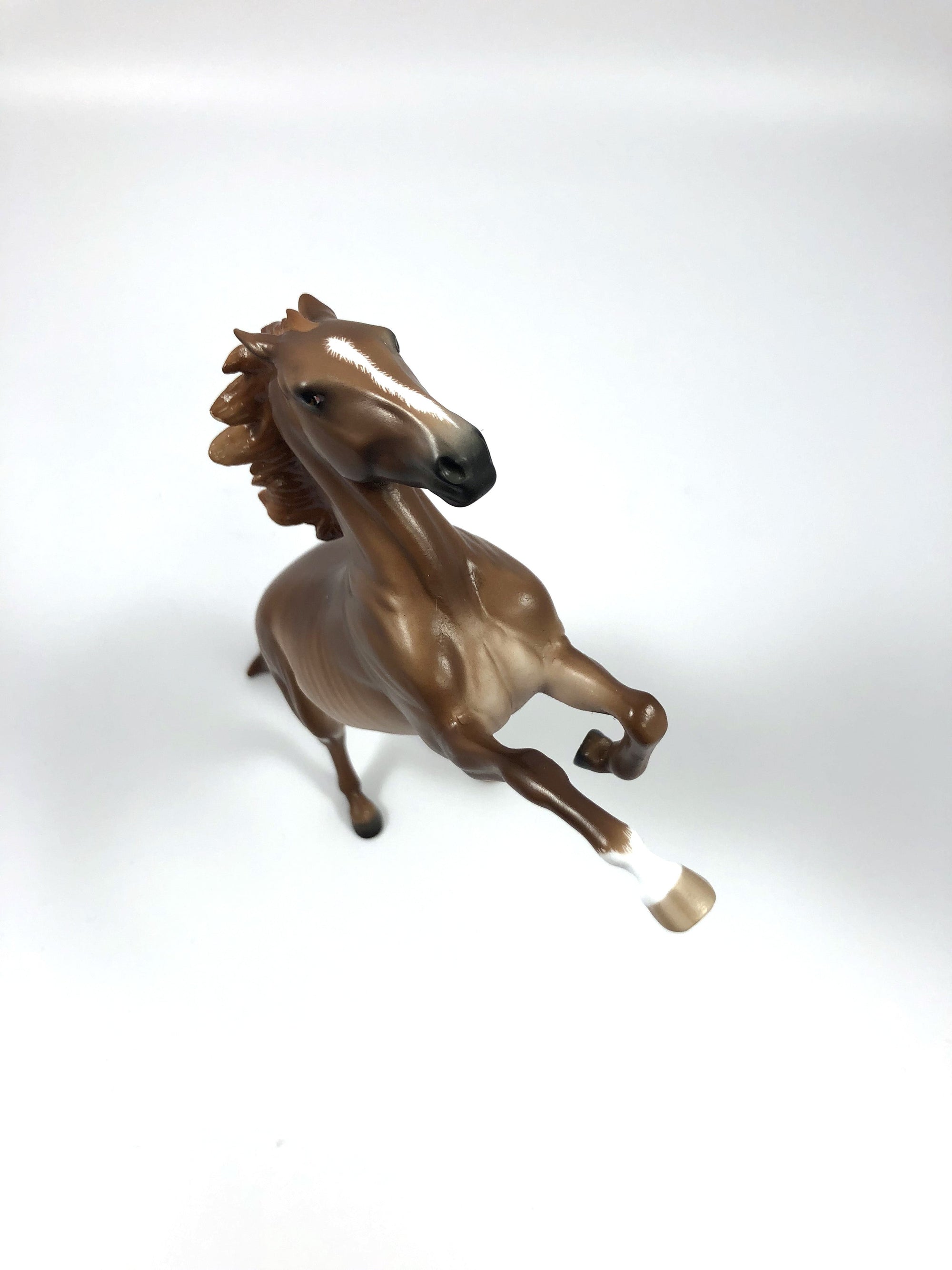 MANGO SORBET -- CHESTNUT RABICANO REARING PEBBLES BY SHERYL LEISURE 4/25/19