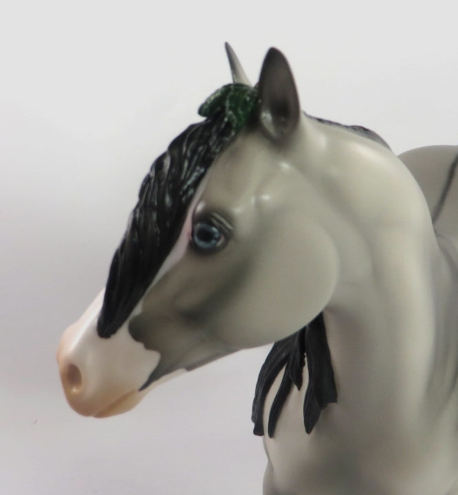 MARY -- LE-10 SILVER GRULLA  CM ISH BY JULIE KEIM WHS19