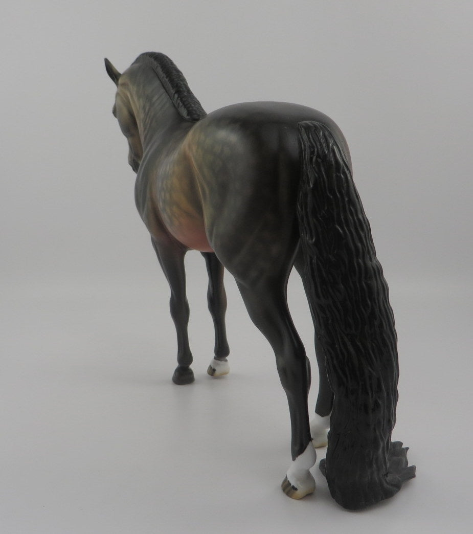 Mattice-OOAK Star Dapple Bay Andalusian EQ 2020