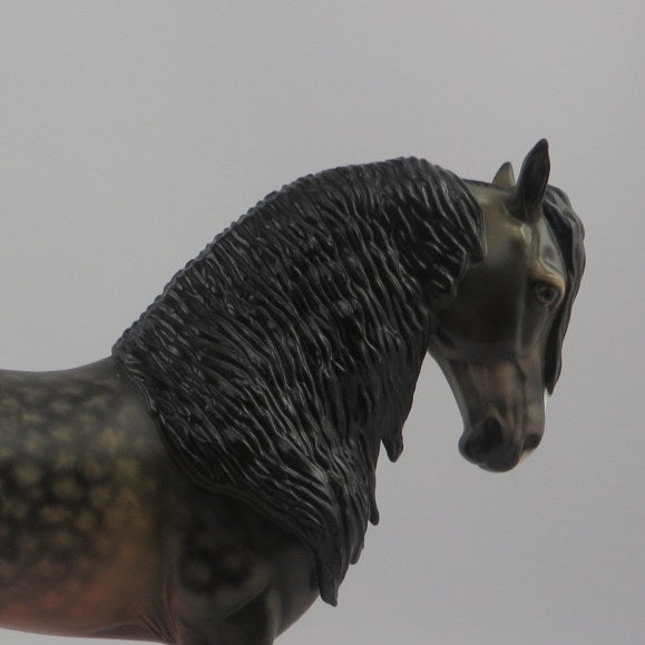 Mattice-OOAK Star Dapple Bay Andalusian EQ 2020