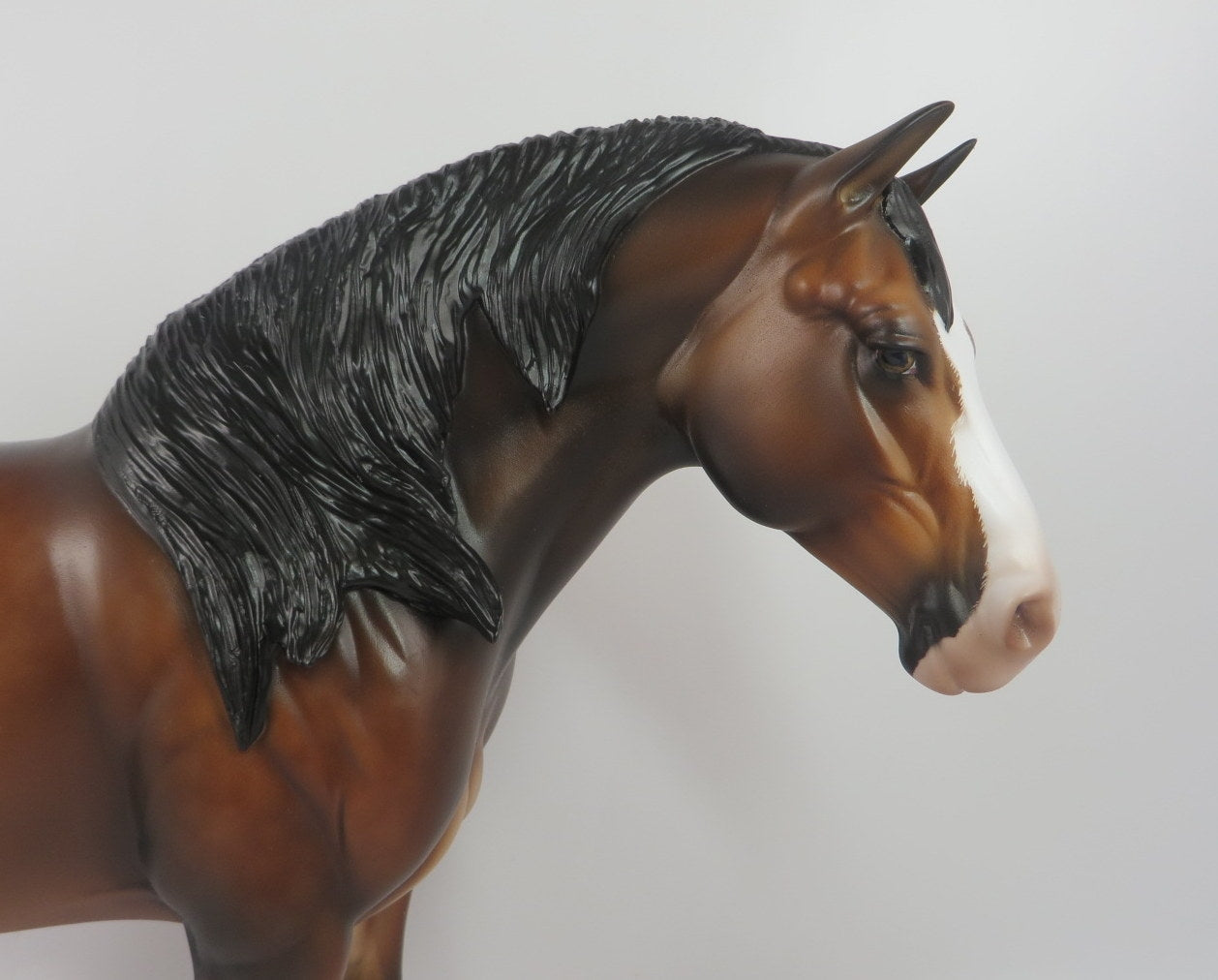 MAUREEN - OOAK STAR DAPPLE BAY CM HEAVY DRAFT BY SHERYL LEISURE WHS19