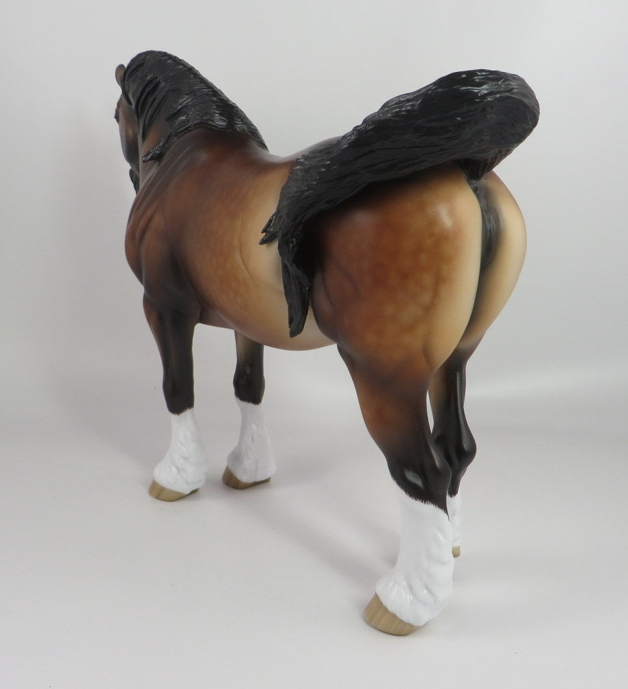 MAUREEN - OOAK STAR DAPPLE BAY CM HEAVY DRAFT BY SHERYL LEISURE WHS19