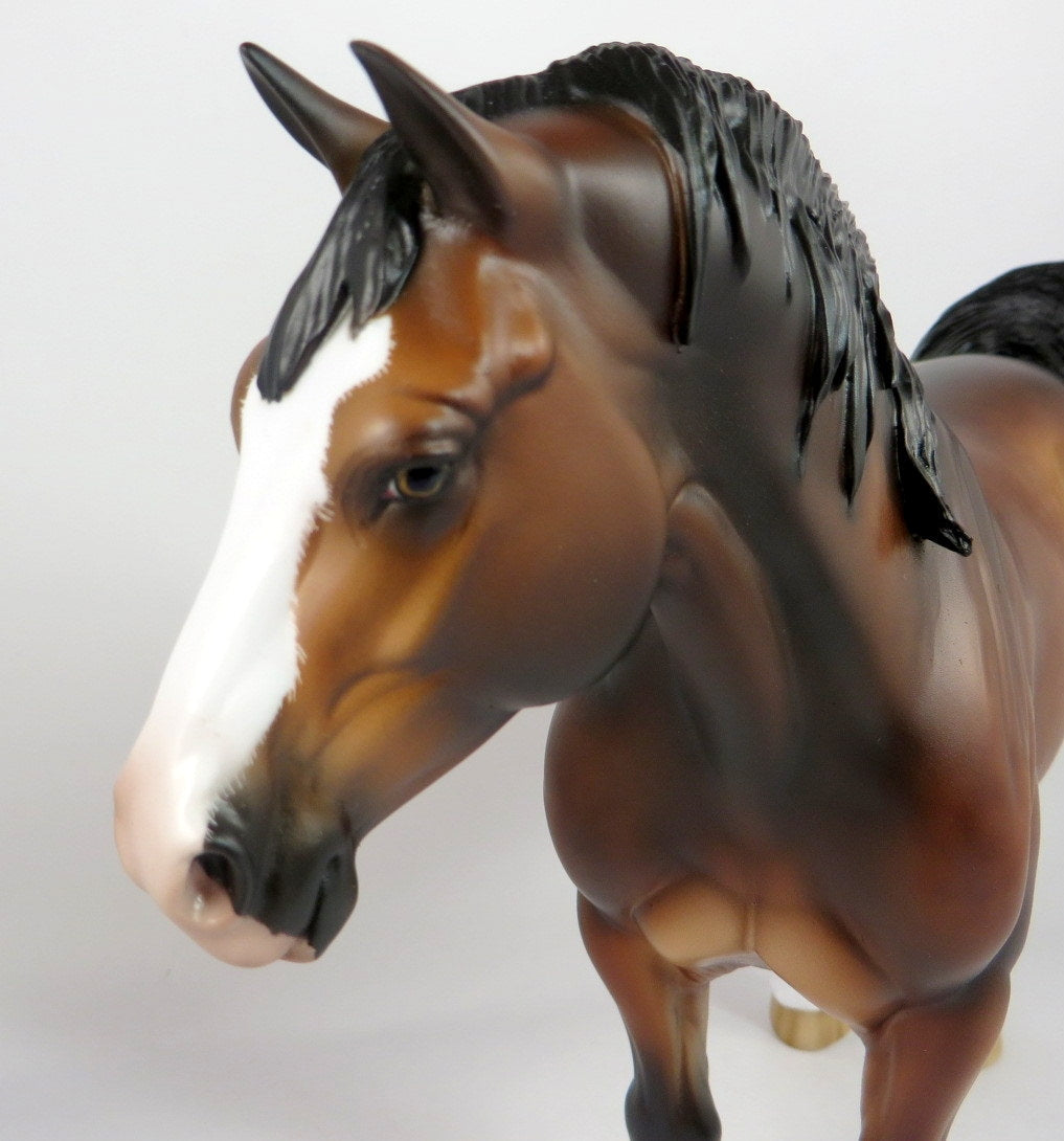 MAUREEN - OOAK STAR DAPPLE BAY CM HEAVY DRAFT BY SHERYL LEISURE WHS19