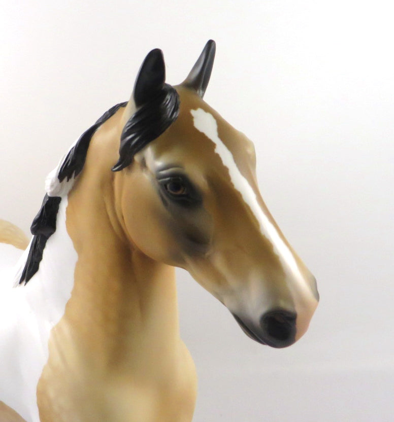 MAXIMUS -OOAK DAPPLE BUCKSKIN TOBIANO TROTTING DRAFTER BY AUDREY DIXON 1/14/20