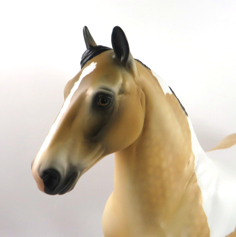 MAXIMUS -OOAK DAPPLE BUCKSKIN TOBIANO TROTTING DRAFTER BY AUDREY DIXON 1/14/20