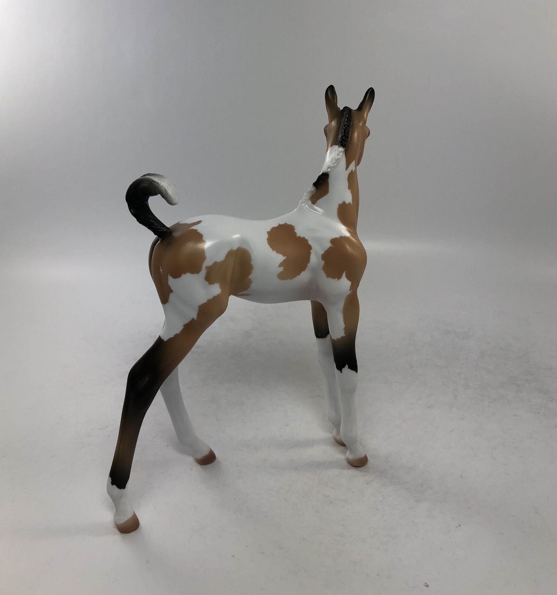 MEATBALL-OOAK BUCKSKIN TOBIANO FOAL 8/10/18