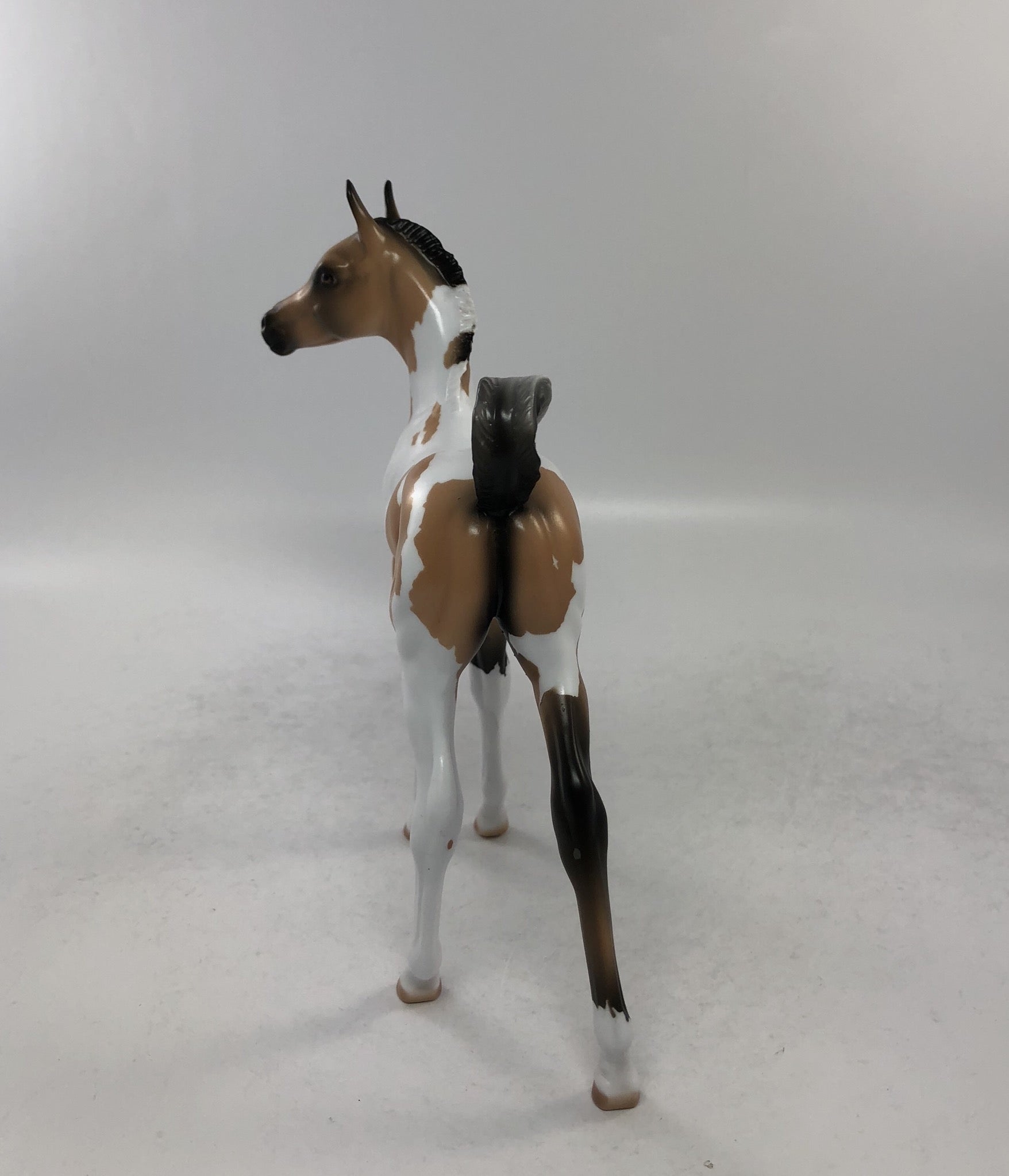 MEATBALL-OOAK BUCKSKIN TOBIANO FOAL 8/10/18