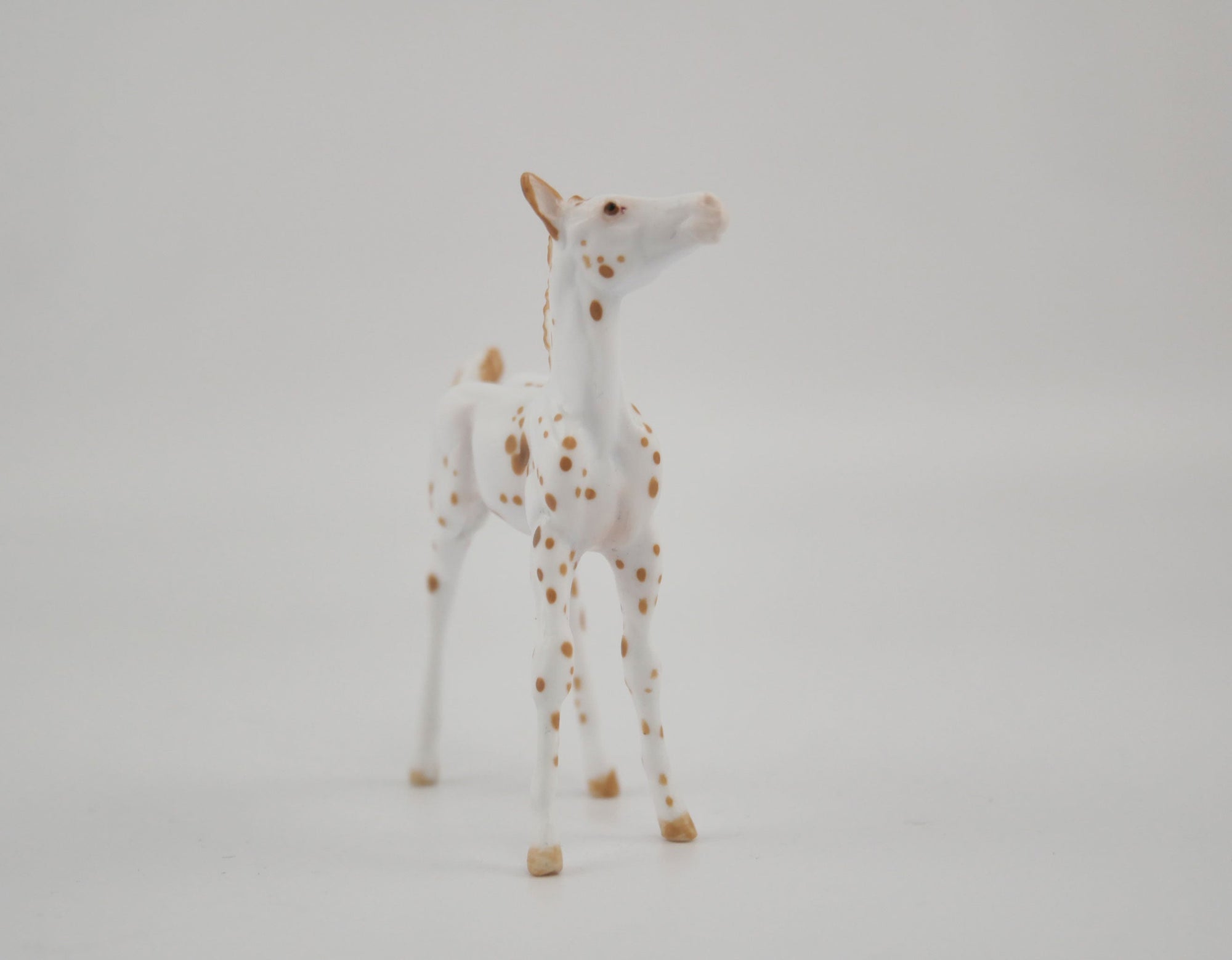 Melody-OOAK Foal Appaloosa Chip By Andrea MM 2020