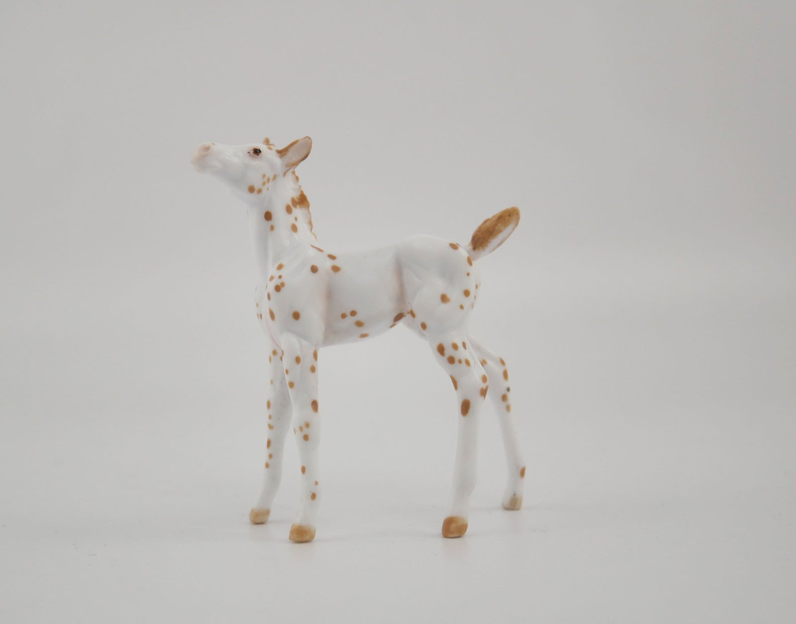 Melody-OOAK Foal Appaloosa Chip By Andrea MM 2020