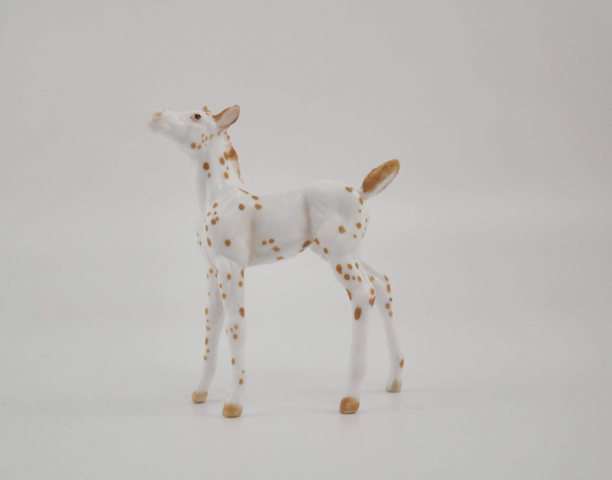 Melody-OOAK Foal Appaloosa Chip By Andrea MM 2020