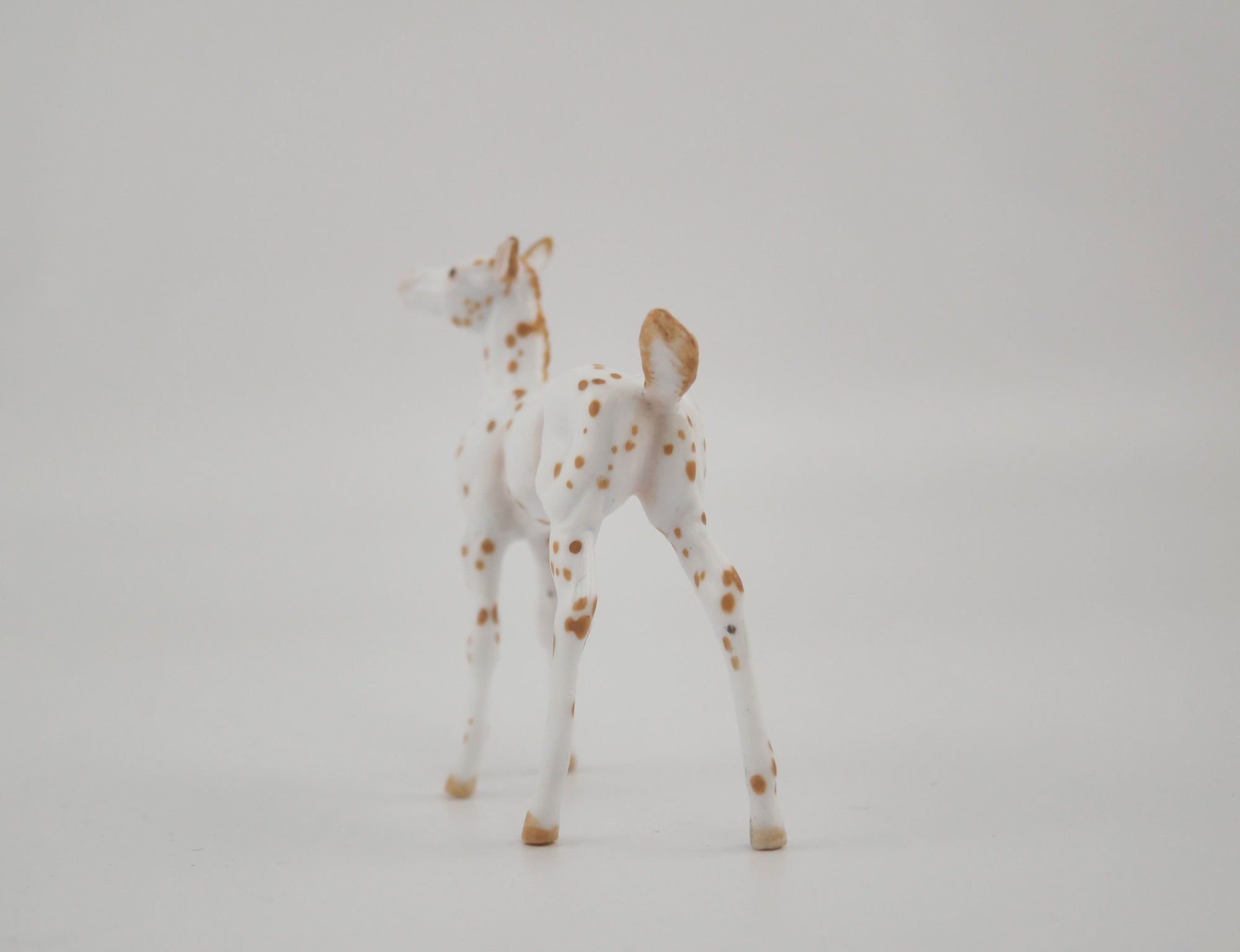 Melody-OOAK Foal Appaloosa Chip By Andrea MM 2020