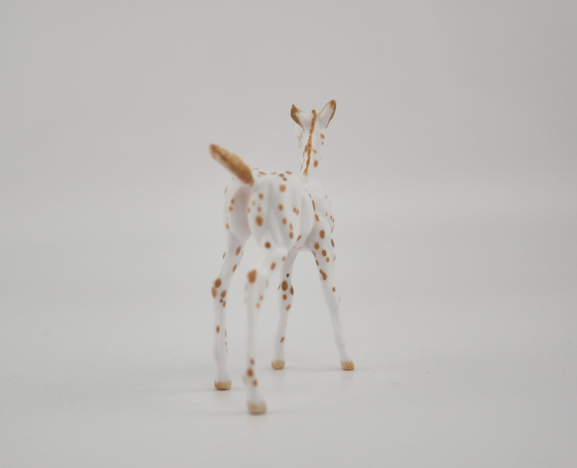 Melody-OOAK Foal Appaloosa Chip By Andrea MM 2020