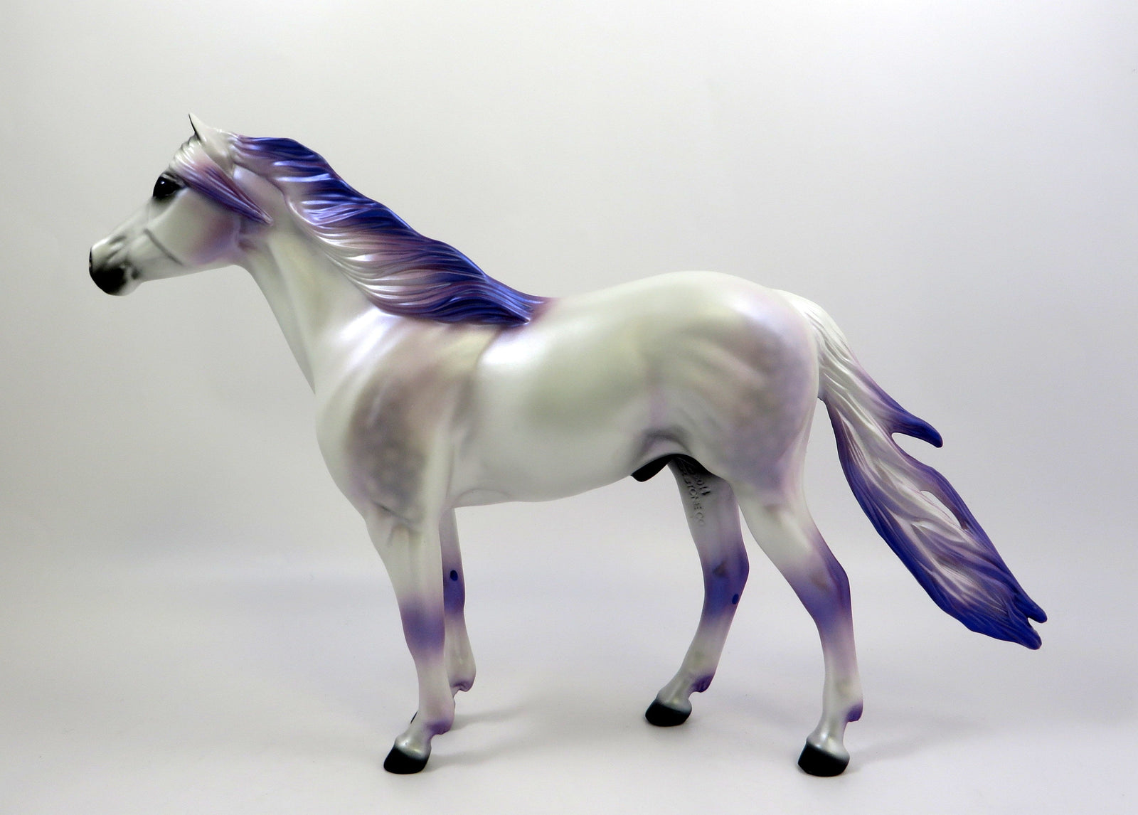 MERLIN-LE-10 DAPPLE WHITE NC SPANISH MUSTANG EQ 2019