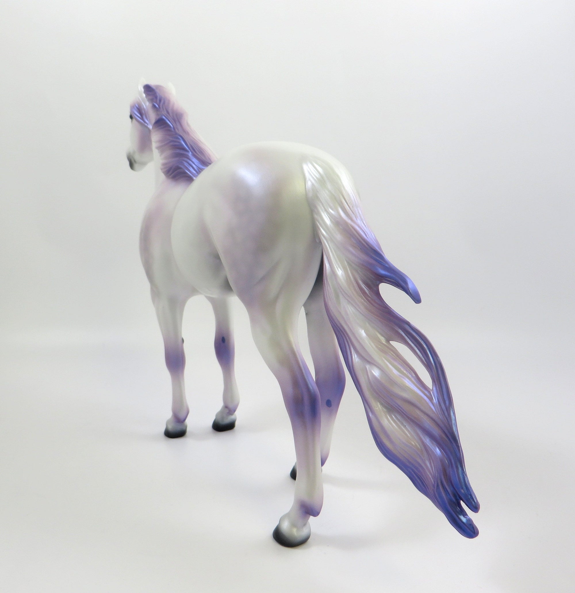 MERLIN-LE-10 DAPPLE WHITE NC SPANISH MUSTANG EQ 2019