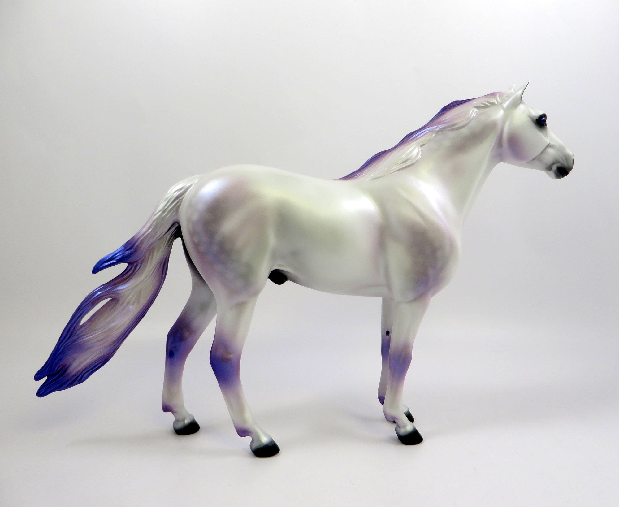 MERLIN-LE-10 DAPPLE WHITE NC SPANISH MUSTANG EQ 2019