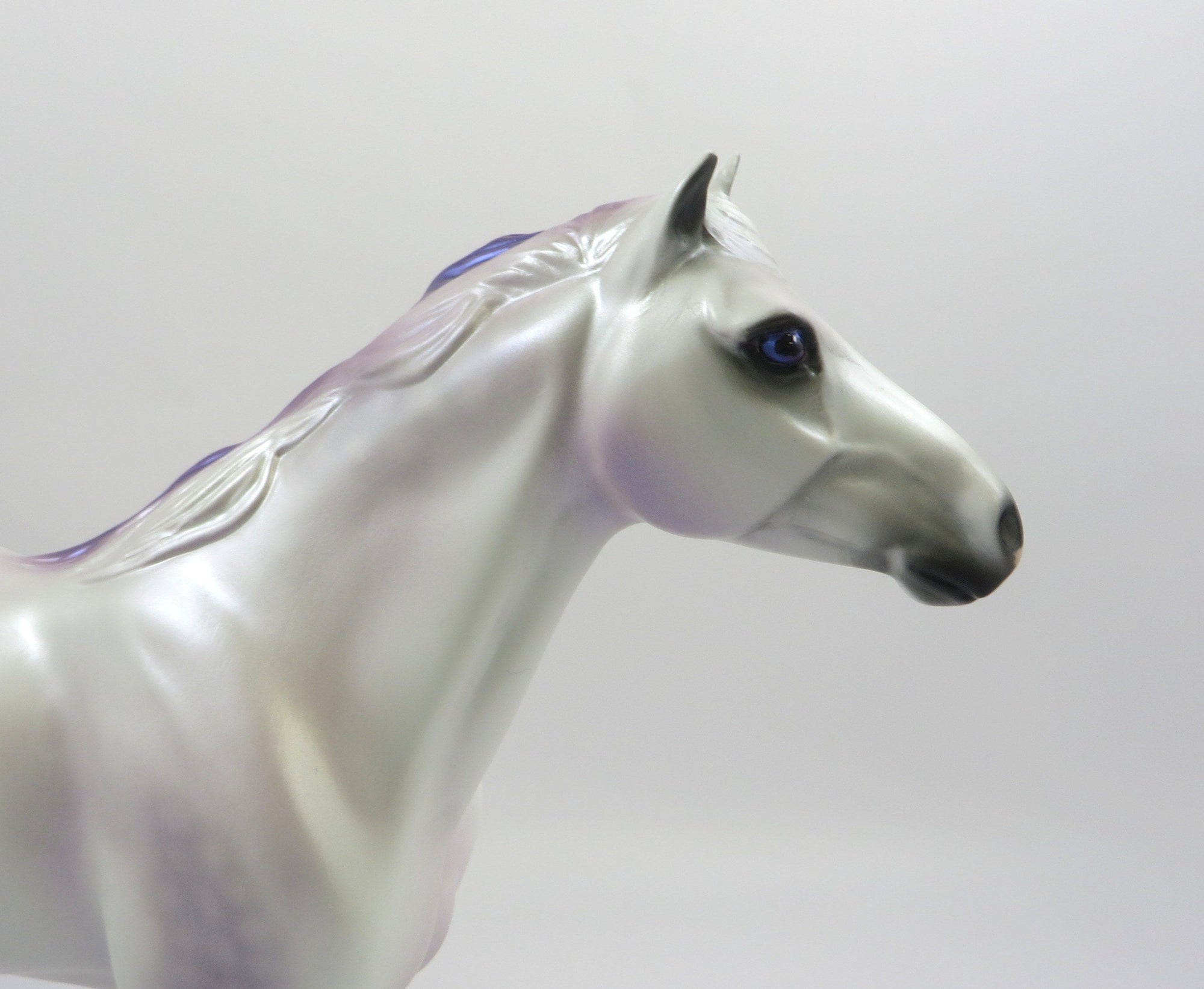 MERLIN-LE-10 DAPPLE WHITE NC SPANISH MUSTANG EQ 2019