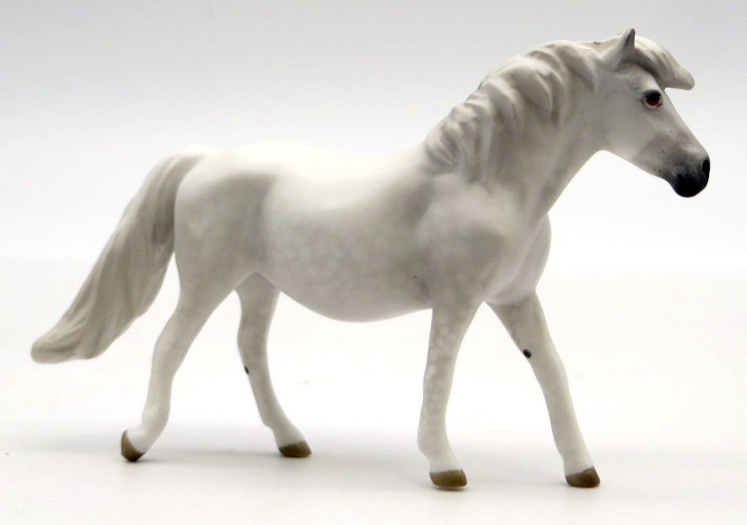 Black Beauty Chip Set - Classic Literature 2022