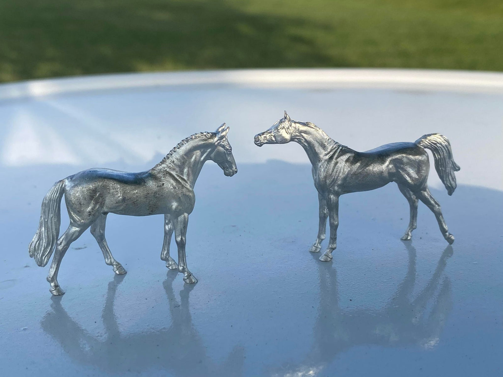 Microchip Arab-Darley