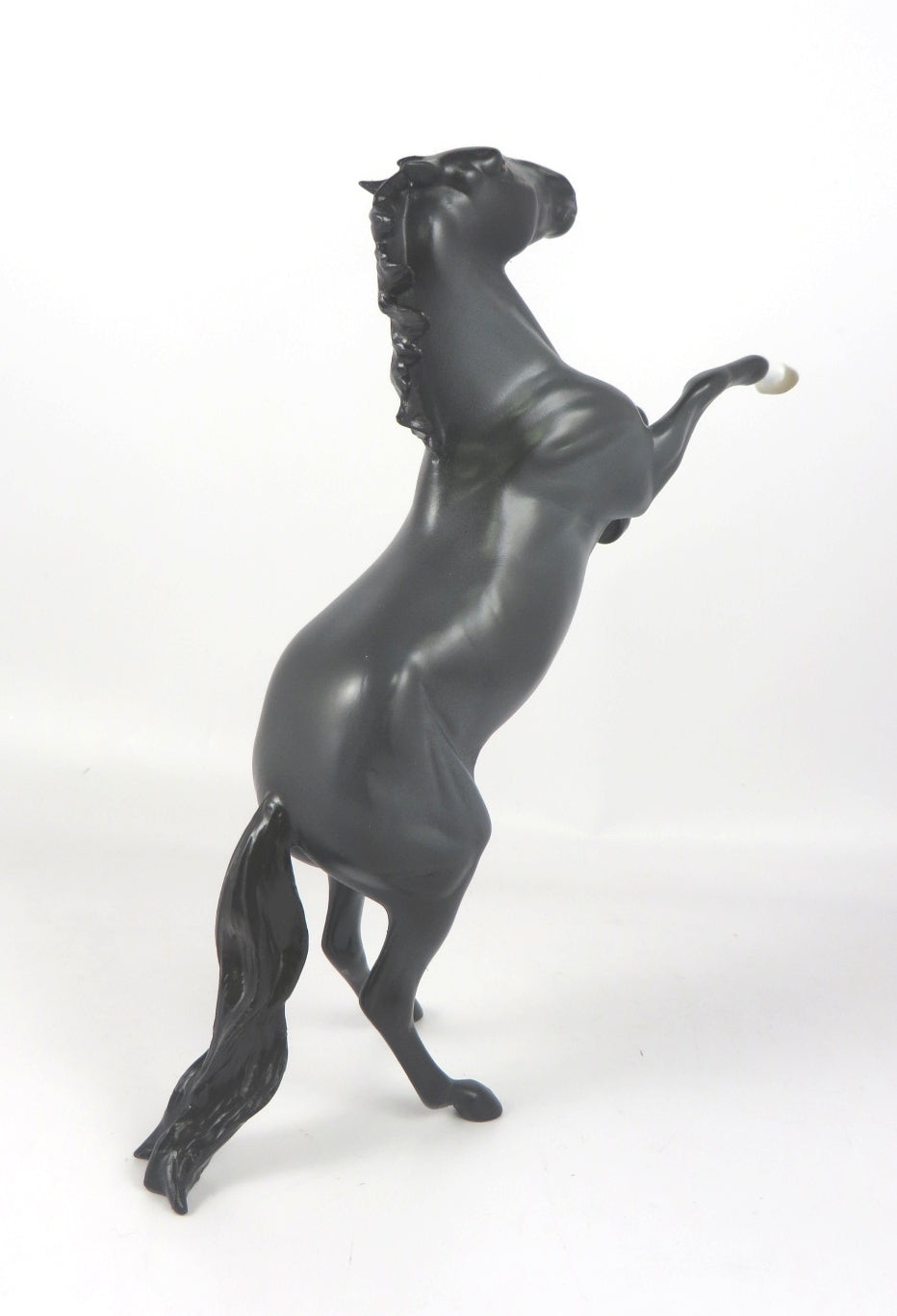 MIDNIGHT BLUE-LE-4 BLUE ROAN REARING PEBBLES WHS 2019