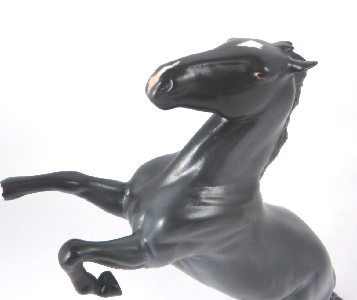 MIDNIGHT BLUE-LE-4 BLUE ROAN REARING PEBBLES WHS 2019