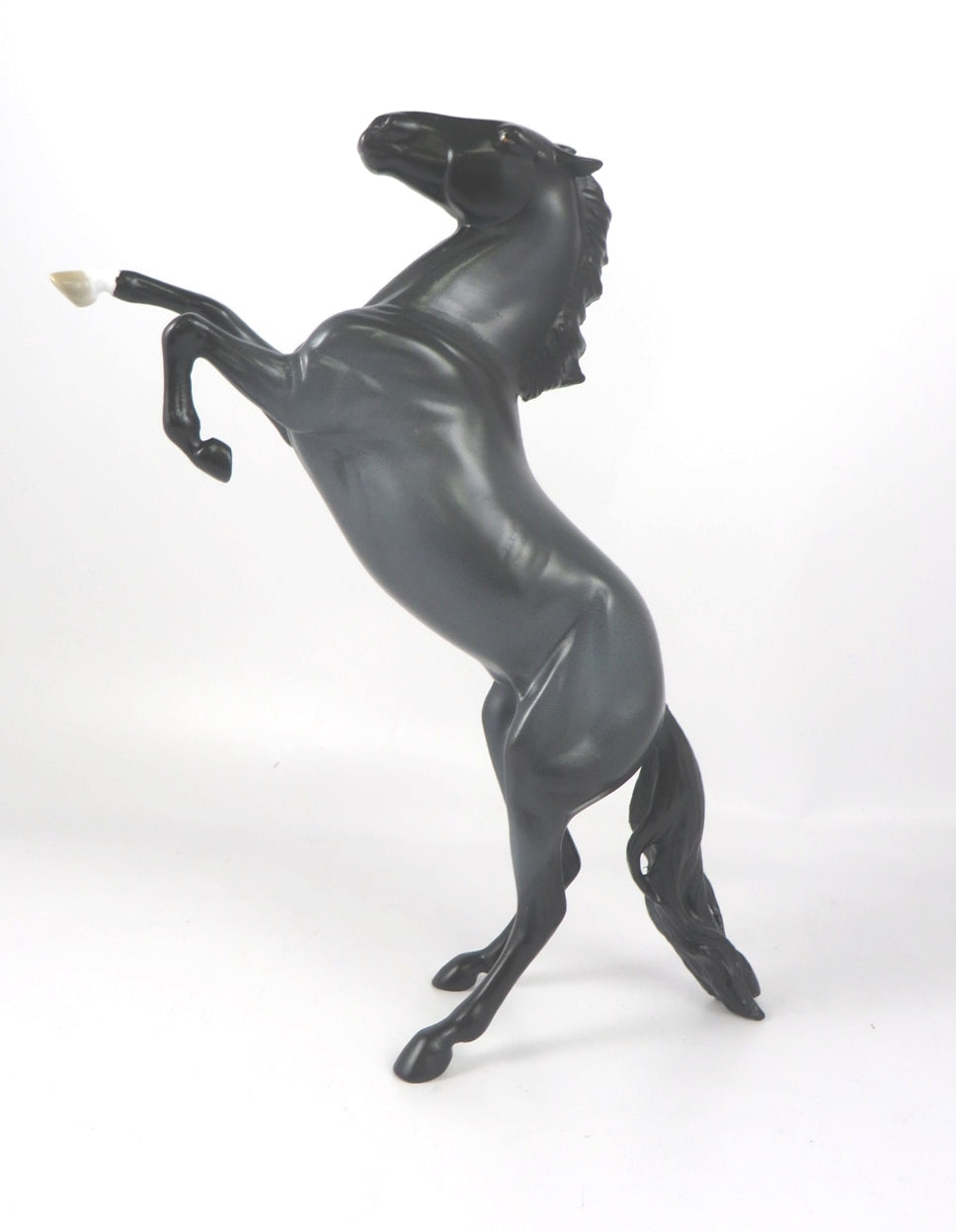 MIDNIGHT BLUE-LE-4 BLUE ROAN REARING PEBBLES WHS 2019