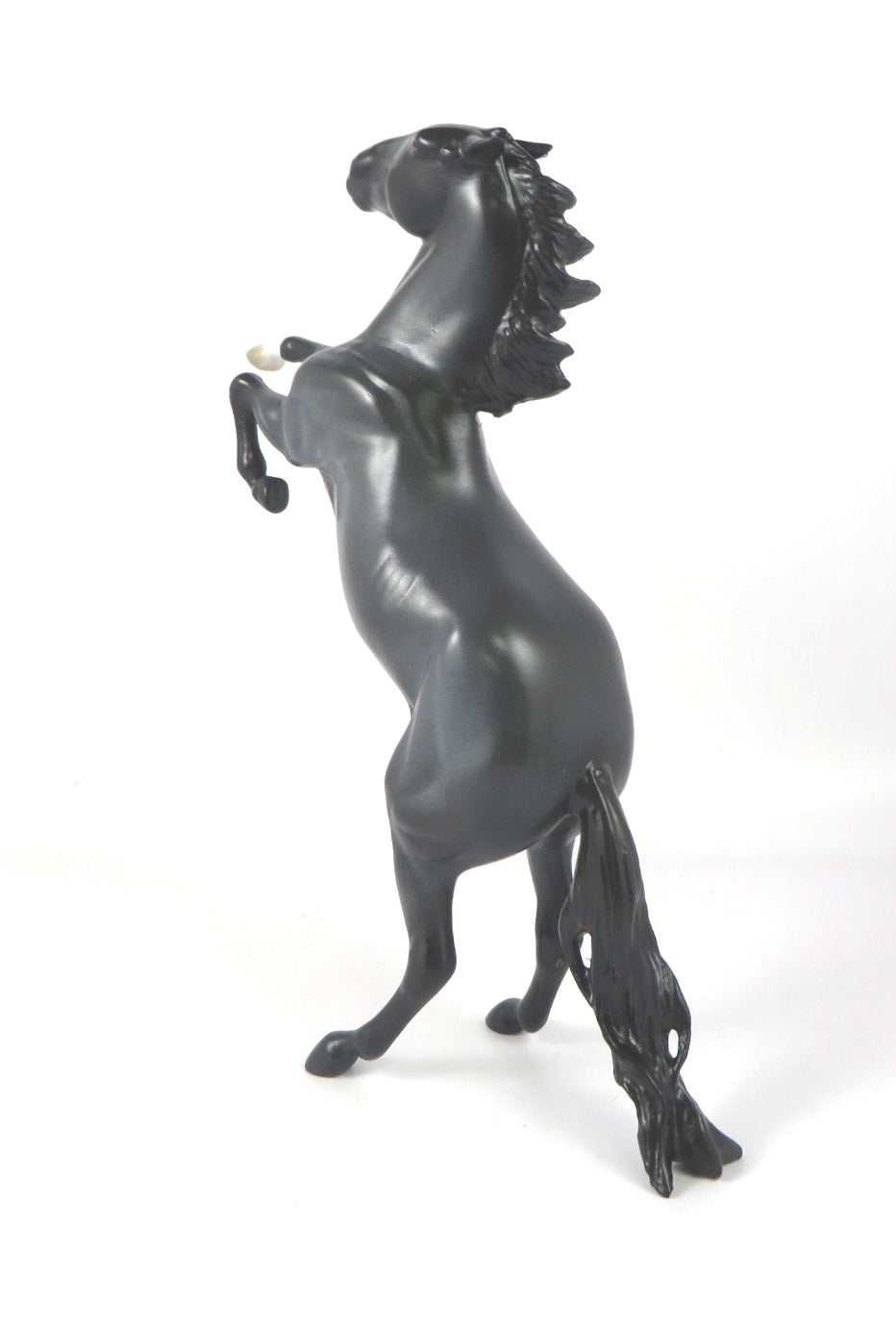 MIDNIGHT BLUE-LE-4 BLUE ROAN REARING PEBBLES WHS 2019