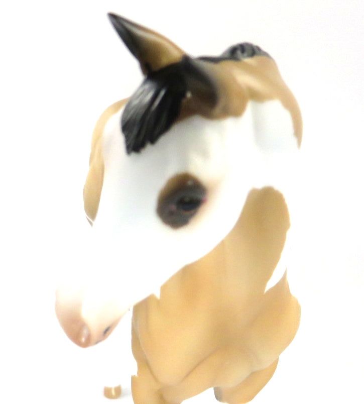 MILLIE-OOAK BUCKSKIN PINTO WEANLING MODEL HORSE 12/17/19