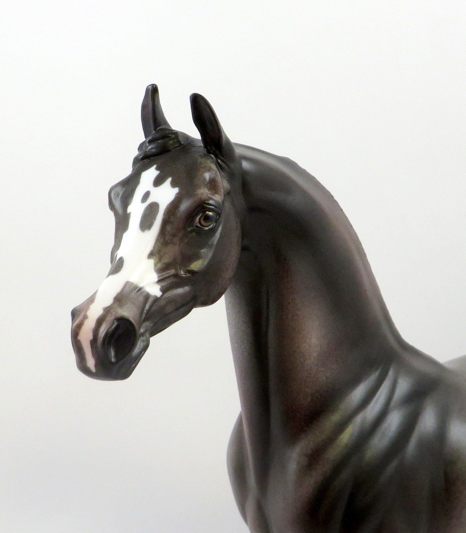 MILOSH-OOAK ROSE GREY APPALOOSA ARBIAN MODEL HORSE EQ 19