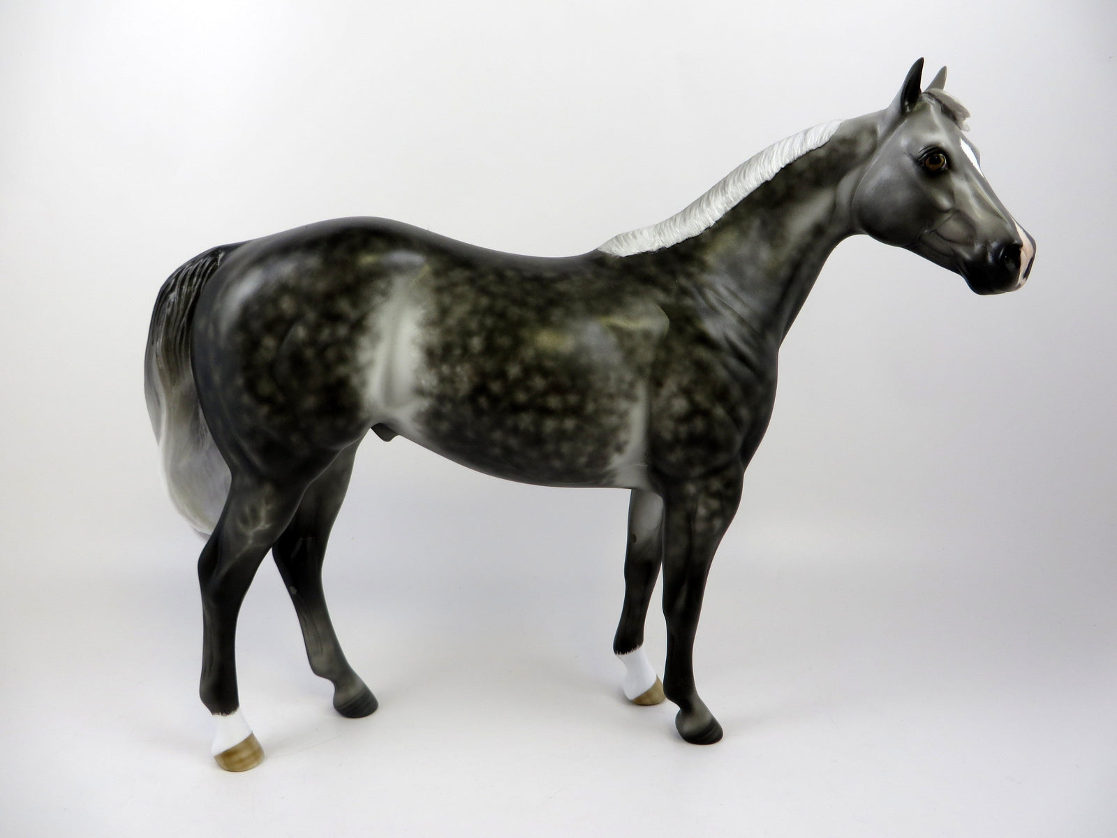 MINUS TIRITH-OOAK STAR DAPPLE ISH EQ 2019