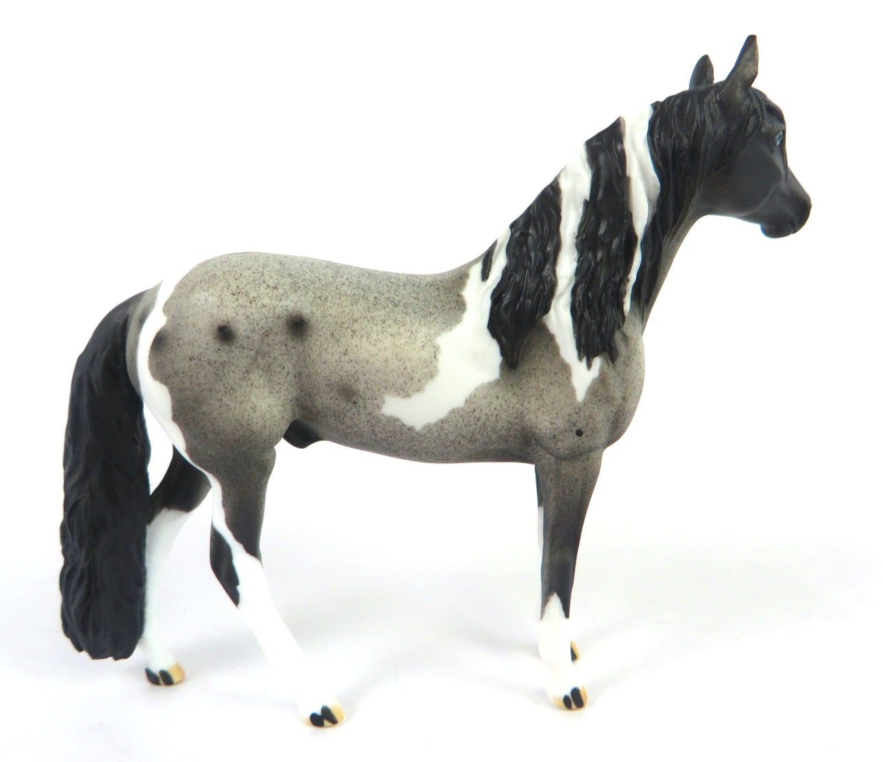 MINI ME BLUE CHRISTMAS - LE-10 BLUE ROAN PAINT ANDALUSIAN CHIP BY DAWN QUICK WHS 19