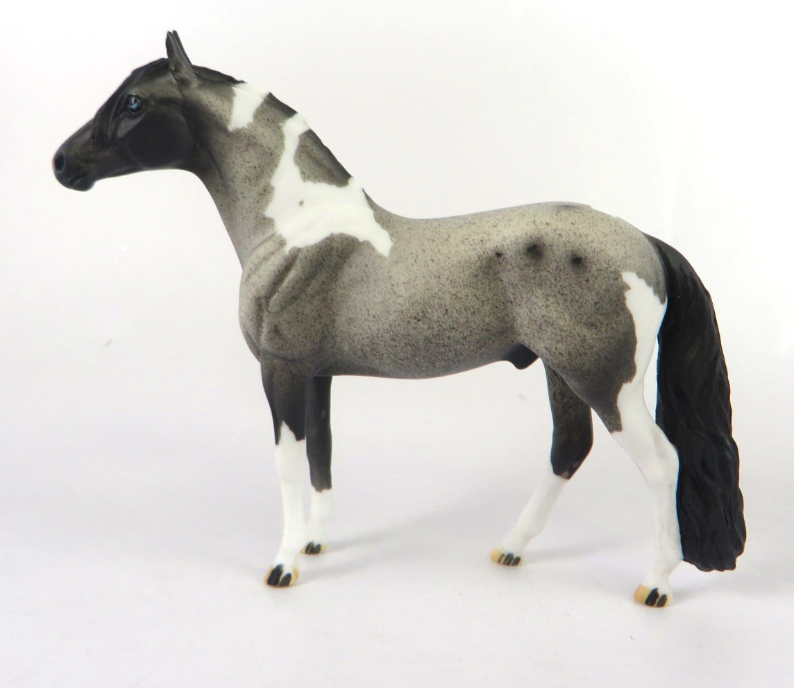 MINI ME BLUE CHRISTMAS - LE-10 BLUE ROAN PAINT ANDALUSIAN CHIP BY DAWN QUICK WHS 19