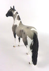 MINI ME BLUE CHRISTMAS - LE-10 BLUE ROAN PAINT ANDALUSIAN CHIP BY DAWN QUICK WHS 19