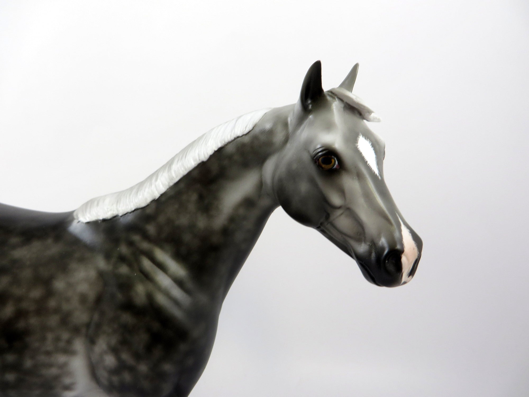 MINUS TIRITH-OOAK STAR DAPPLE ISH EQ 2019