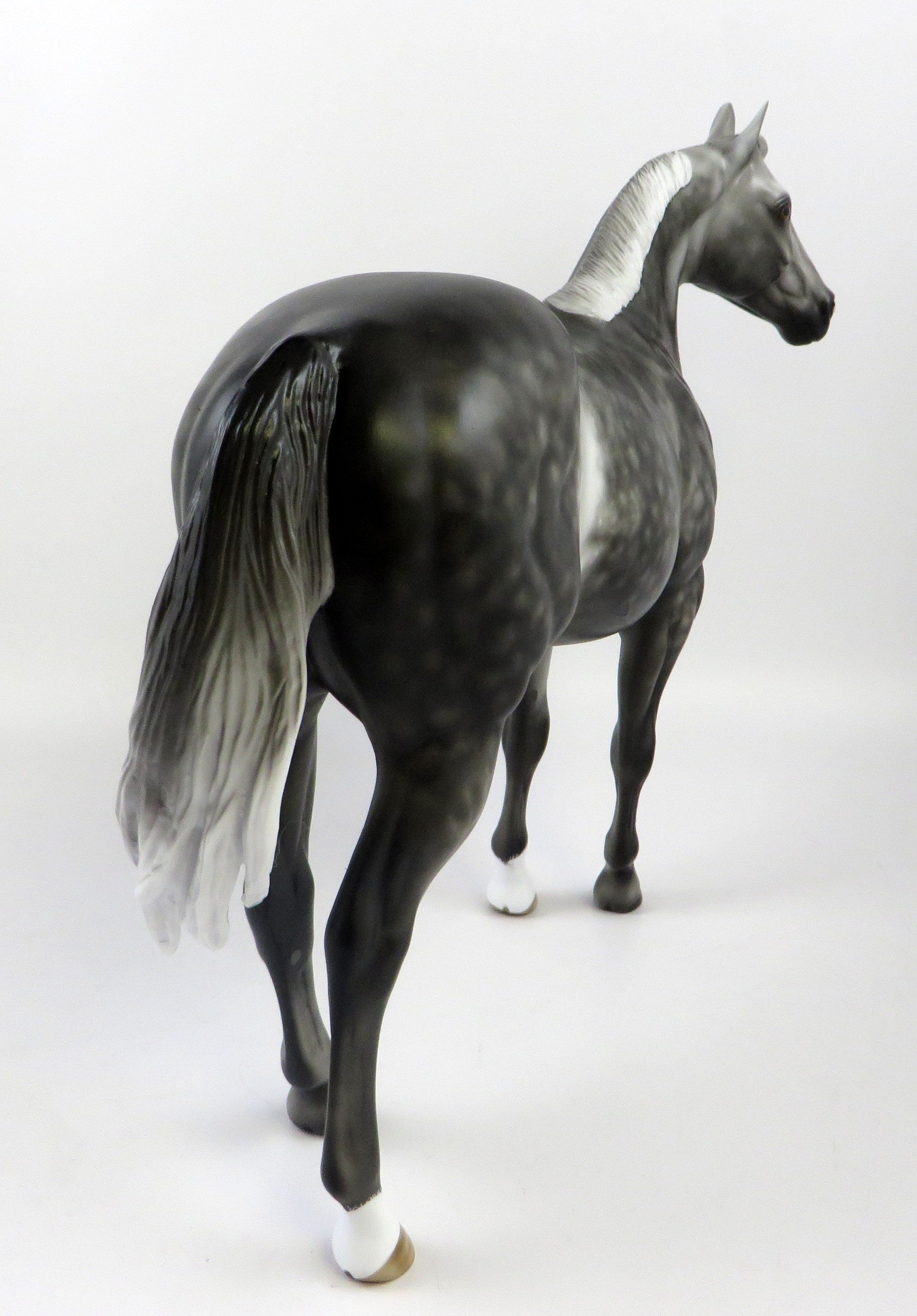 MINUS TIRITH-OOAK STAR DAPPLE ISH EQ 2019