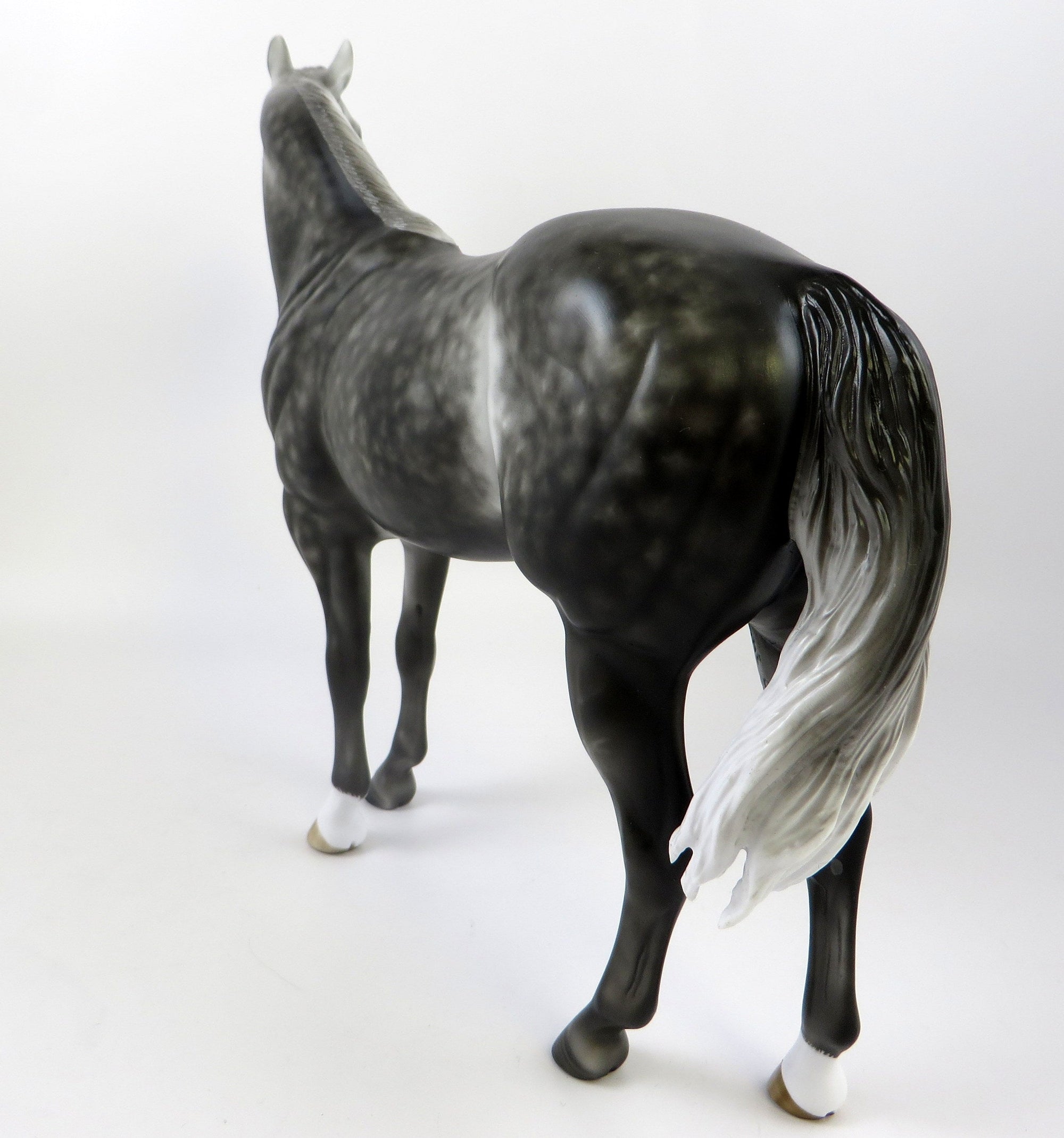 MINUS TIRITH-OOAK STAR DAPPLE ISH EQ 2019