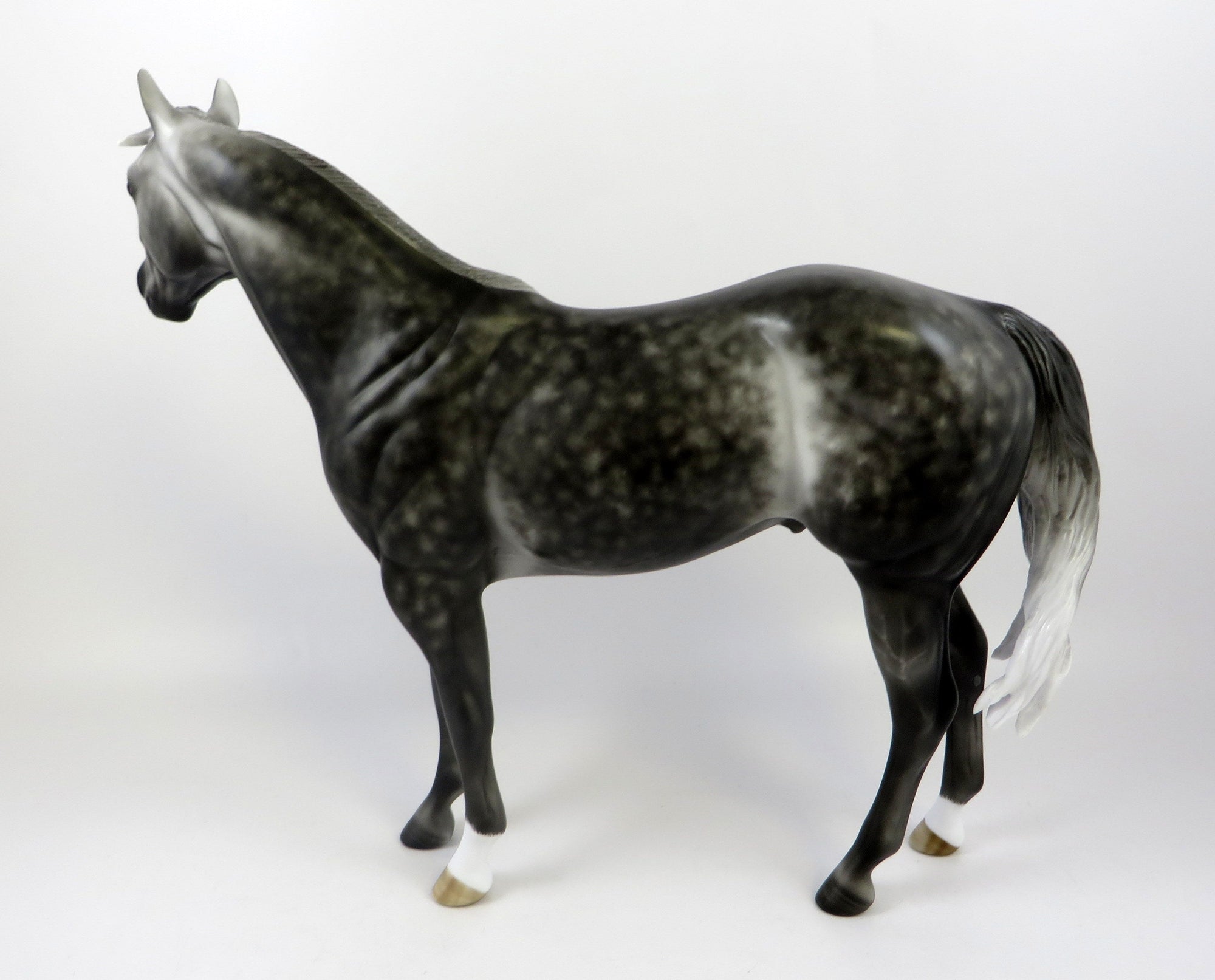 MINUS TIRITH-OOAK STAR DAPPLE ISH EQ 2019