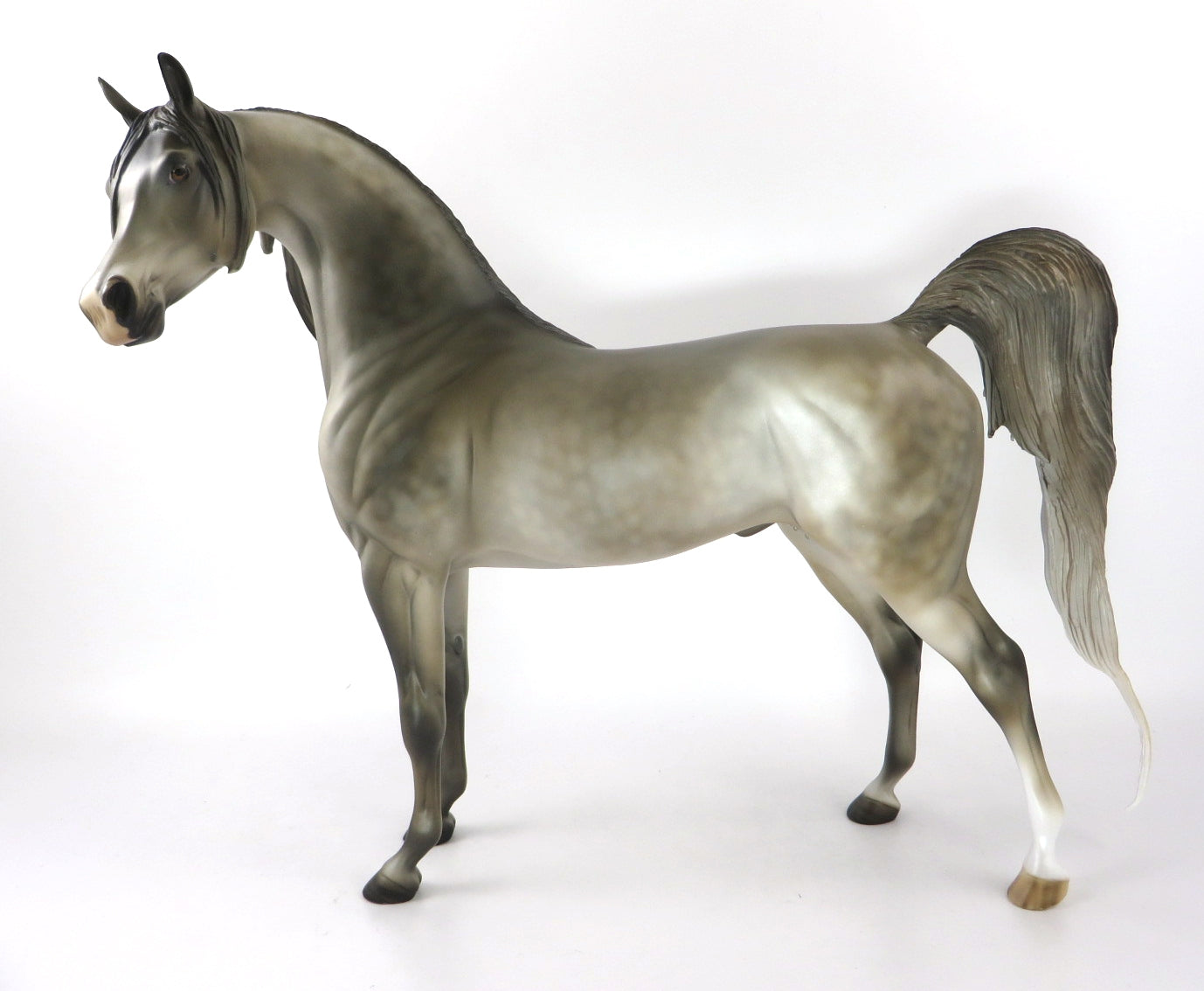 MIRACLE ON 34TH-LE-10 LIGHT PEARL  DAPPLE GREY ARABIAN BY JULIE KEIM WHS 19