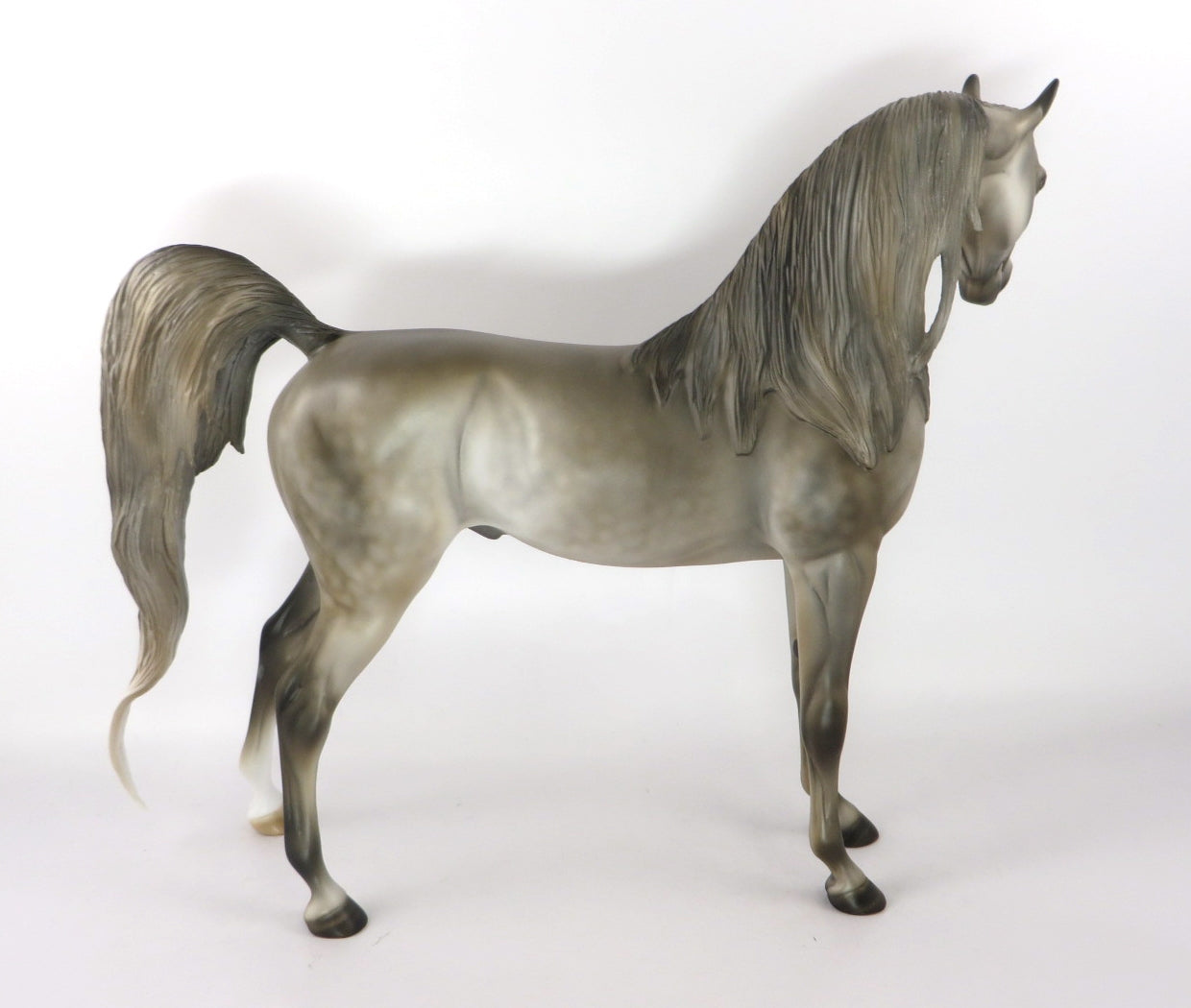 MIRACLE ON 34TH-LE-10 LIGHT PEARL  DAPPLE GREY ARABIAN BY JULIE KEIM WHS 19