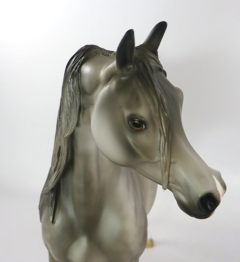 MIRACLE ON 34TH-LE-10 LIGHT PEARL  DAPPLE GREY ARABIAN BY JULIE KEIM WHS 19