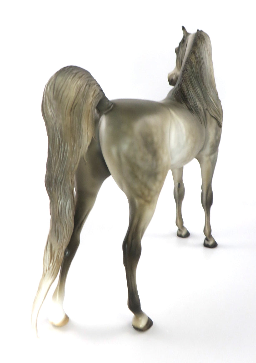 MIRACLE ON 34TH-LE-10 LIGHT PEARL  DAPPLE GREY ARABIAN BY JULIE KEIM WHS 19