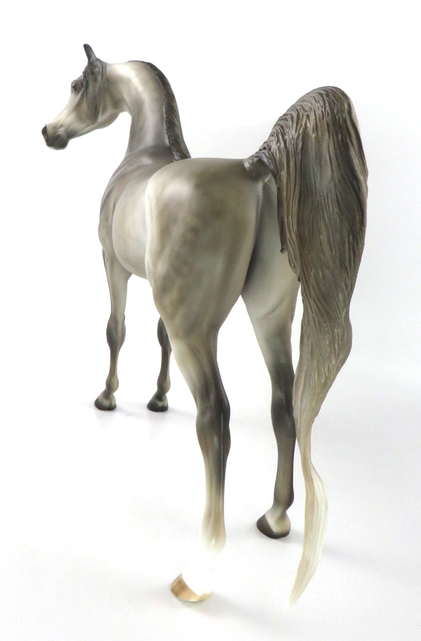 MIRACLE ON 34TH-LE-10 LIGHT PEARL  DAPPLE GREY ARABIAN BY JULIE KEIM WHS 19
